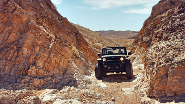 Passeio de safári de jipe